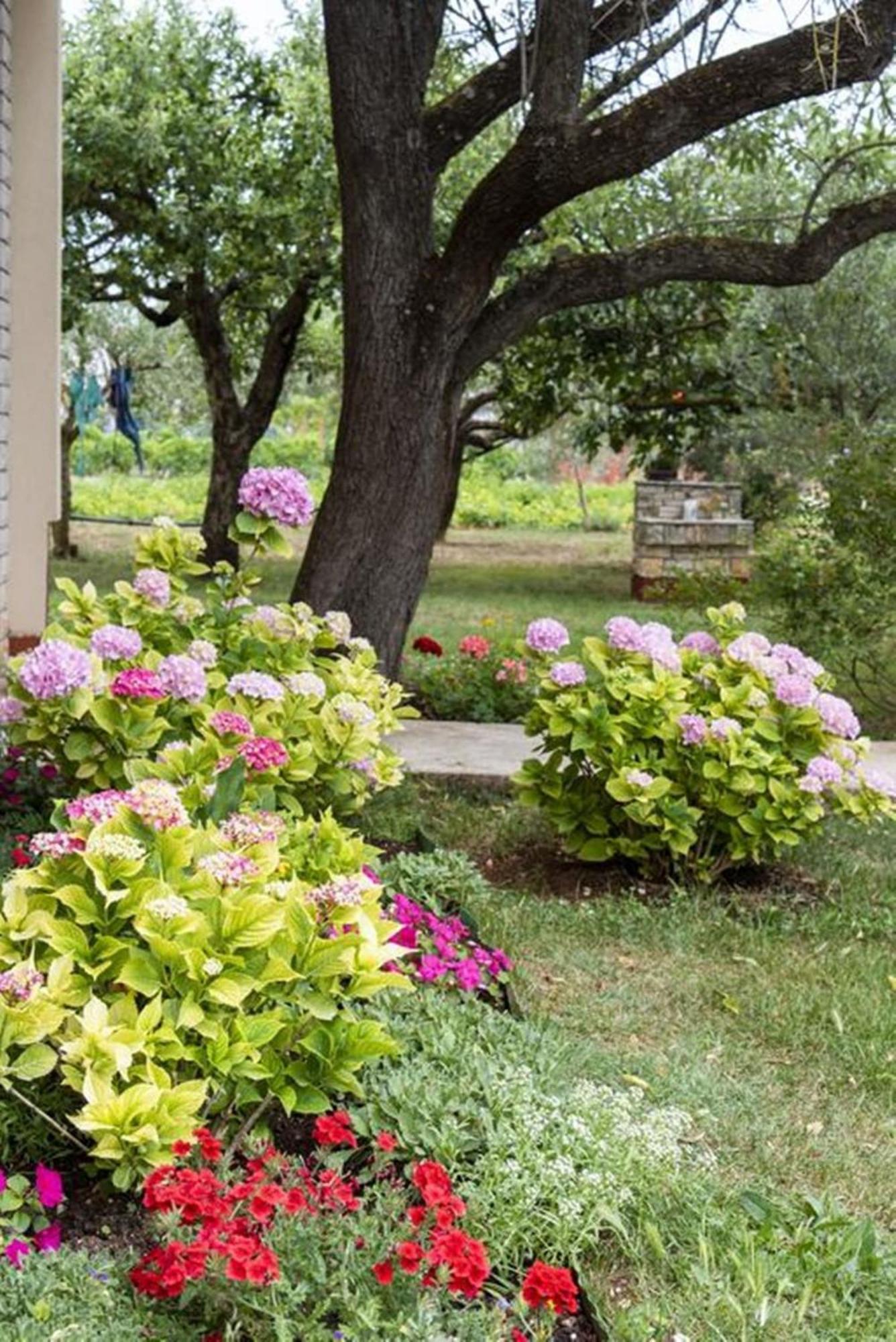 Flower Garden Rhapsody - Modern Family Apartments Near Fažana Exteriör bild